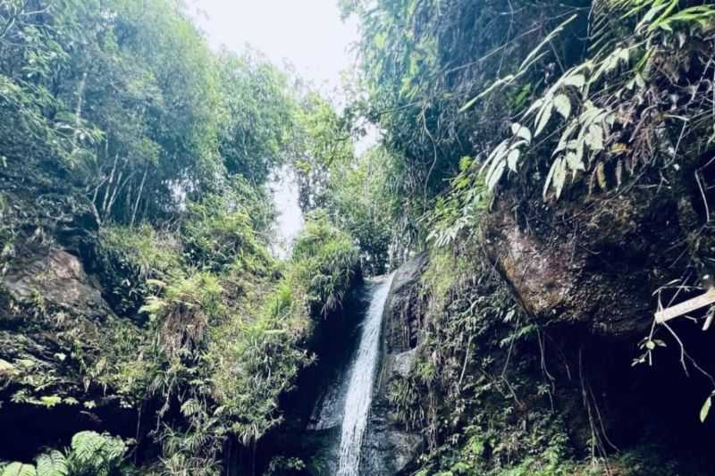 Ayo Isi Liburan ke Daerah Ini, Desa Wisata Wae Lolos Hadirkan 7 Destinasi Alam Tarik Wisatawan
