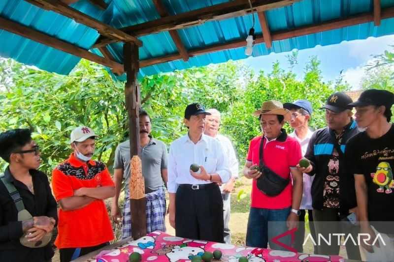 Ayo Wujudkan Mandiri Pangan, Perlu Upaya Komprehensif Jadikan Petani Bali Sejahtera