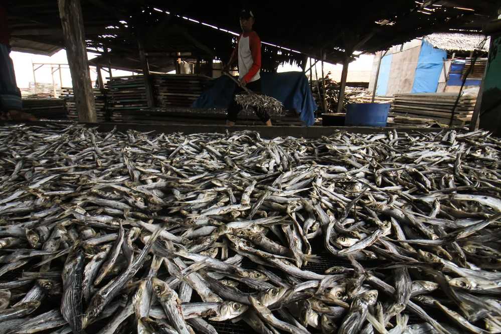 Bahan Baku Berlimpah