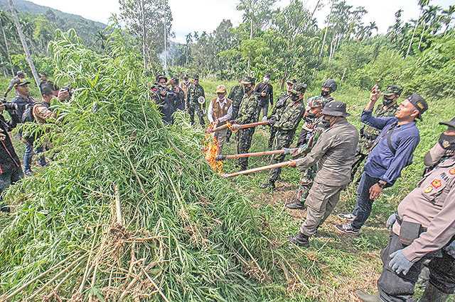 Bakar Ganja