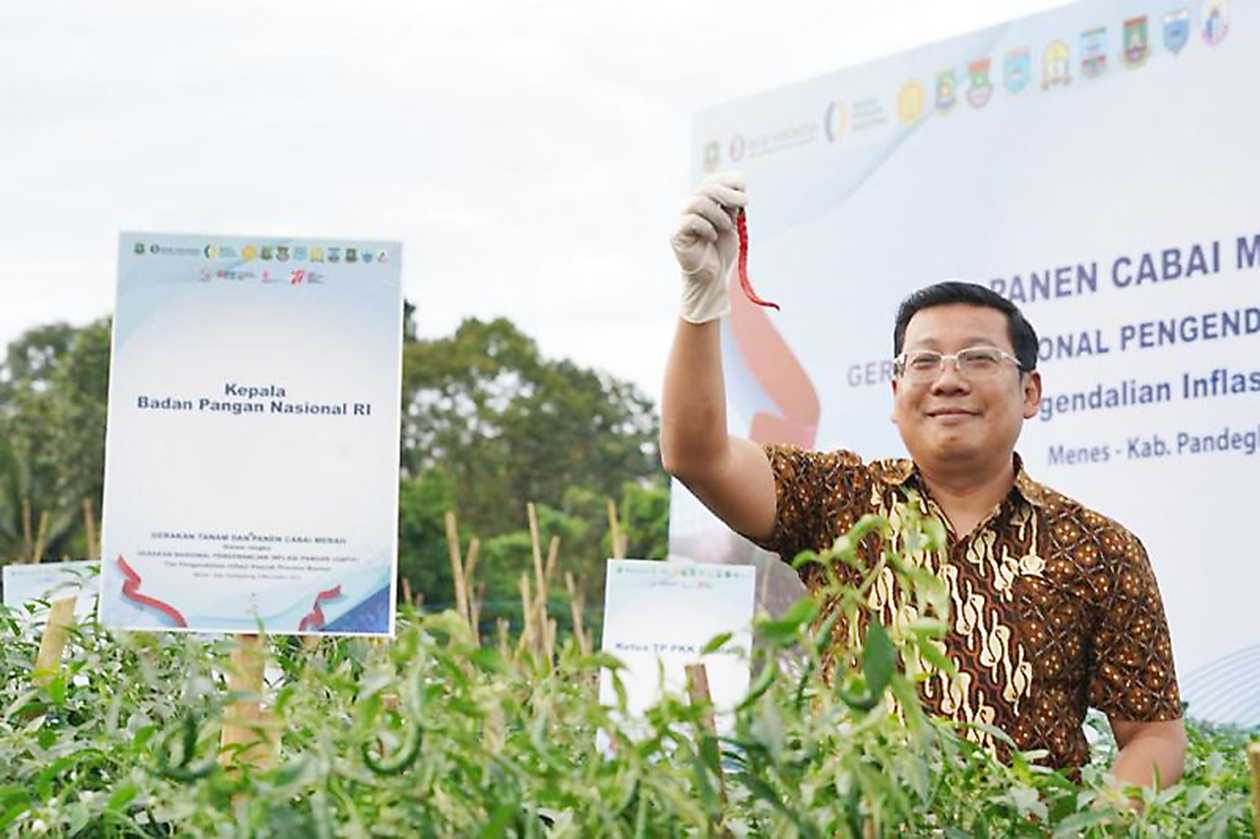 Banten Bisa Jadi Lumbung Cabai Nasional