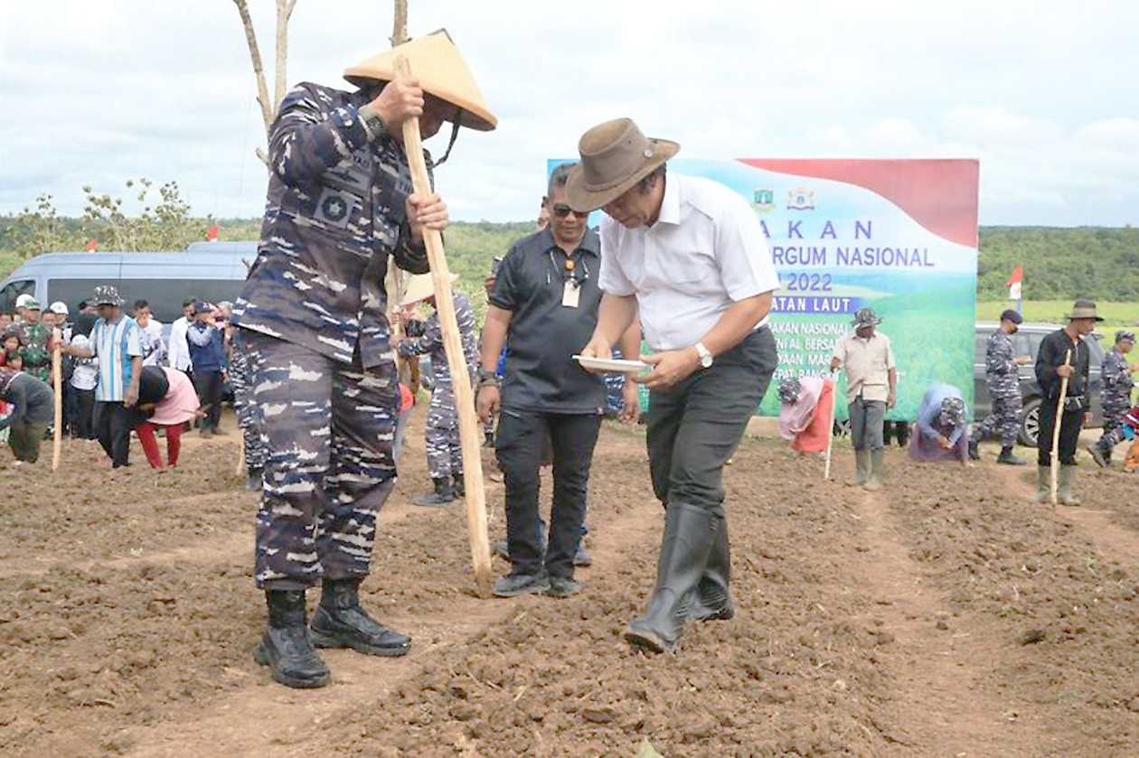 Banten Budi Dayakan Sorgum
