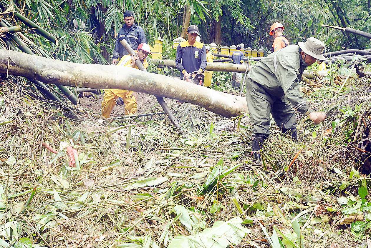 Bersihkan Material Longsor