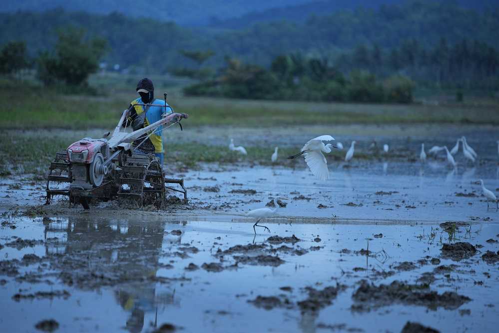 Buruh Tani