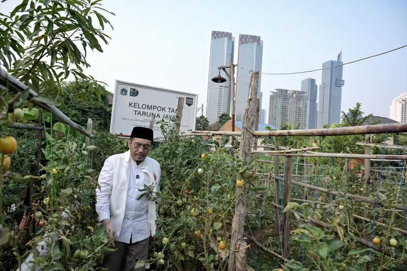 Calon Wagub DKI Suswono Sebut "Jakarta Urban Farming Projects" untuk Perkuat Ketahanan Pangan
