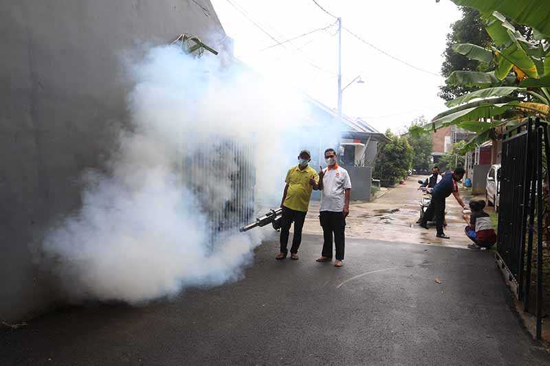 Cegah Penyakit DBD