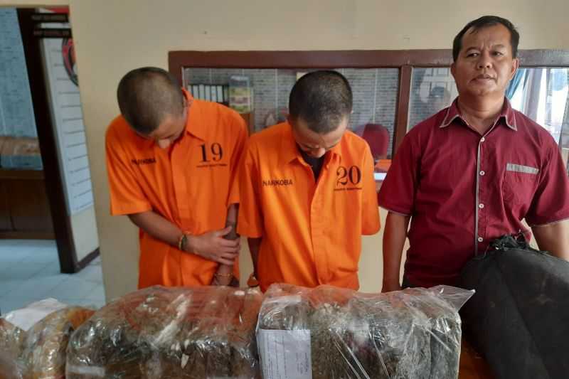 Dua Pengedar 25 Kilogram Ganja Ditangkap