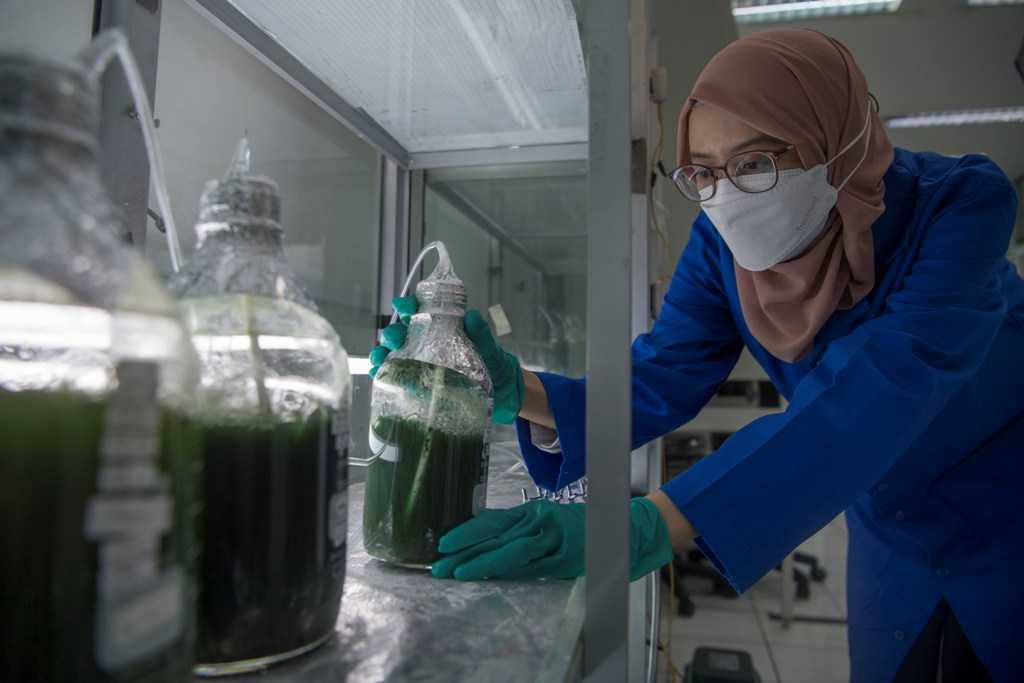 Dukung Transisi Energi