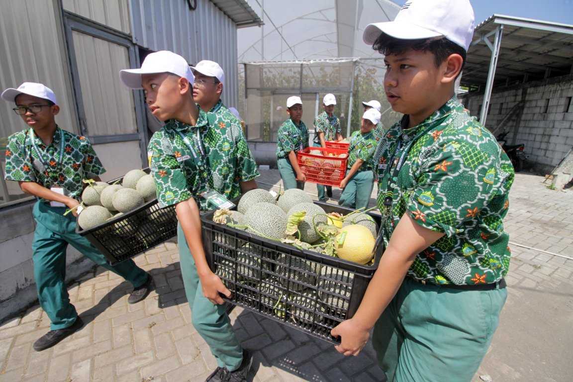 Edukasi Kewirausahaan