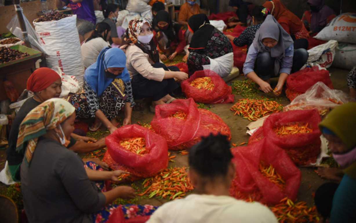 Fluktuasi Harga