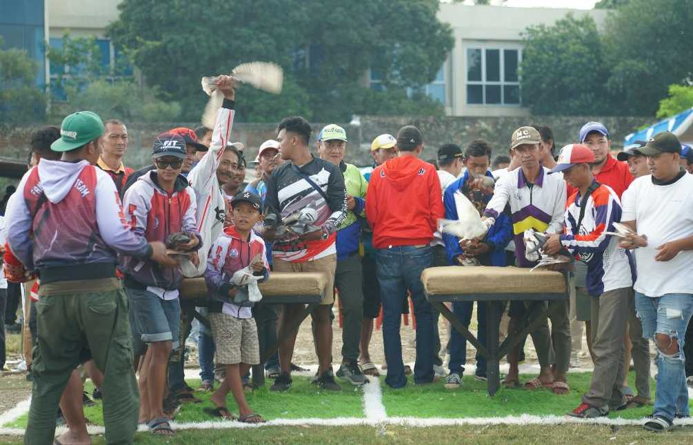Foto 3