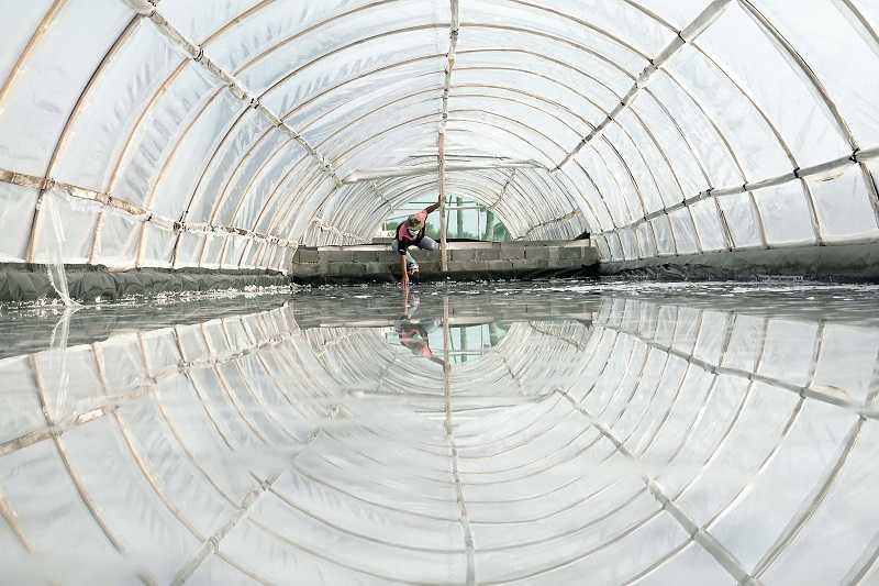 GARAM SISTEM "TUNNEL" BISA PRODUKSI DI MUSIM HUJAN