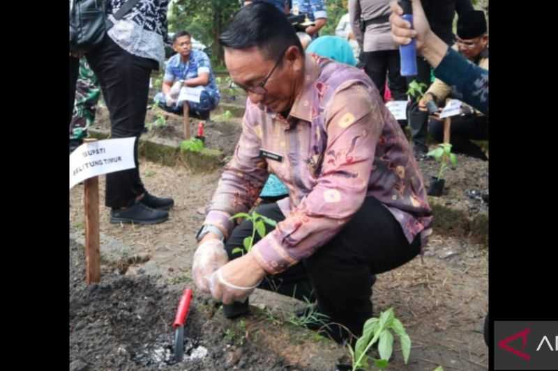 Gerak Cepat, Belitung Timur Gencarkan Program Ketahanan Pangan Keluarga