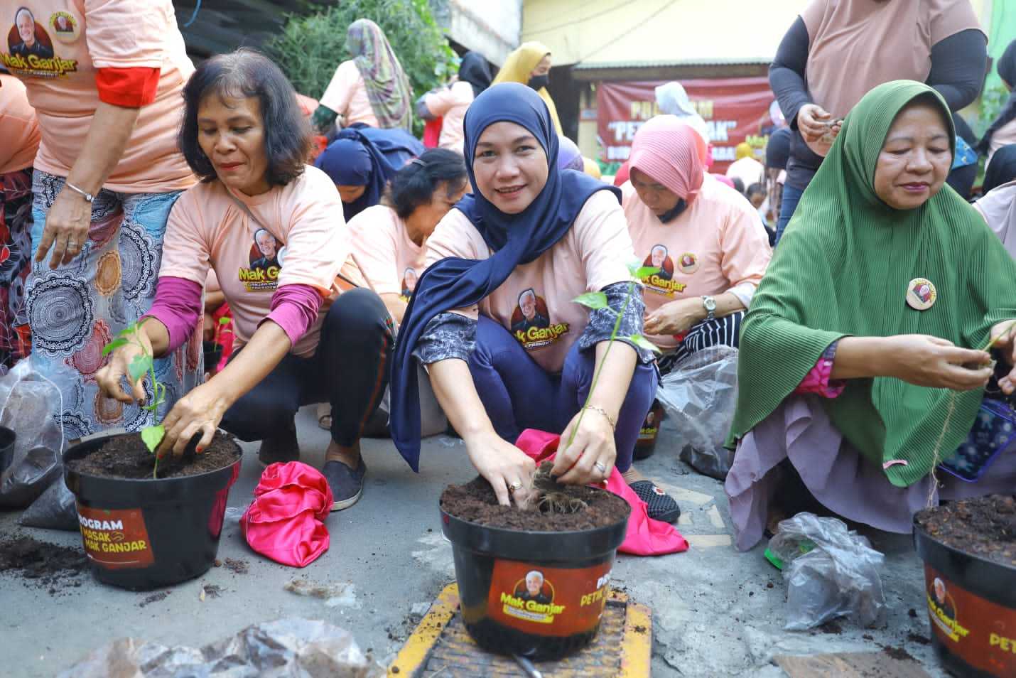 Harga Cabai di Pasar Naik, Mak Ganjar Tanam Ratusan Pohon Cabai di Jakarta Timur