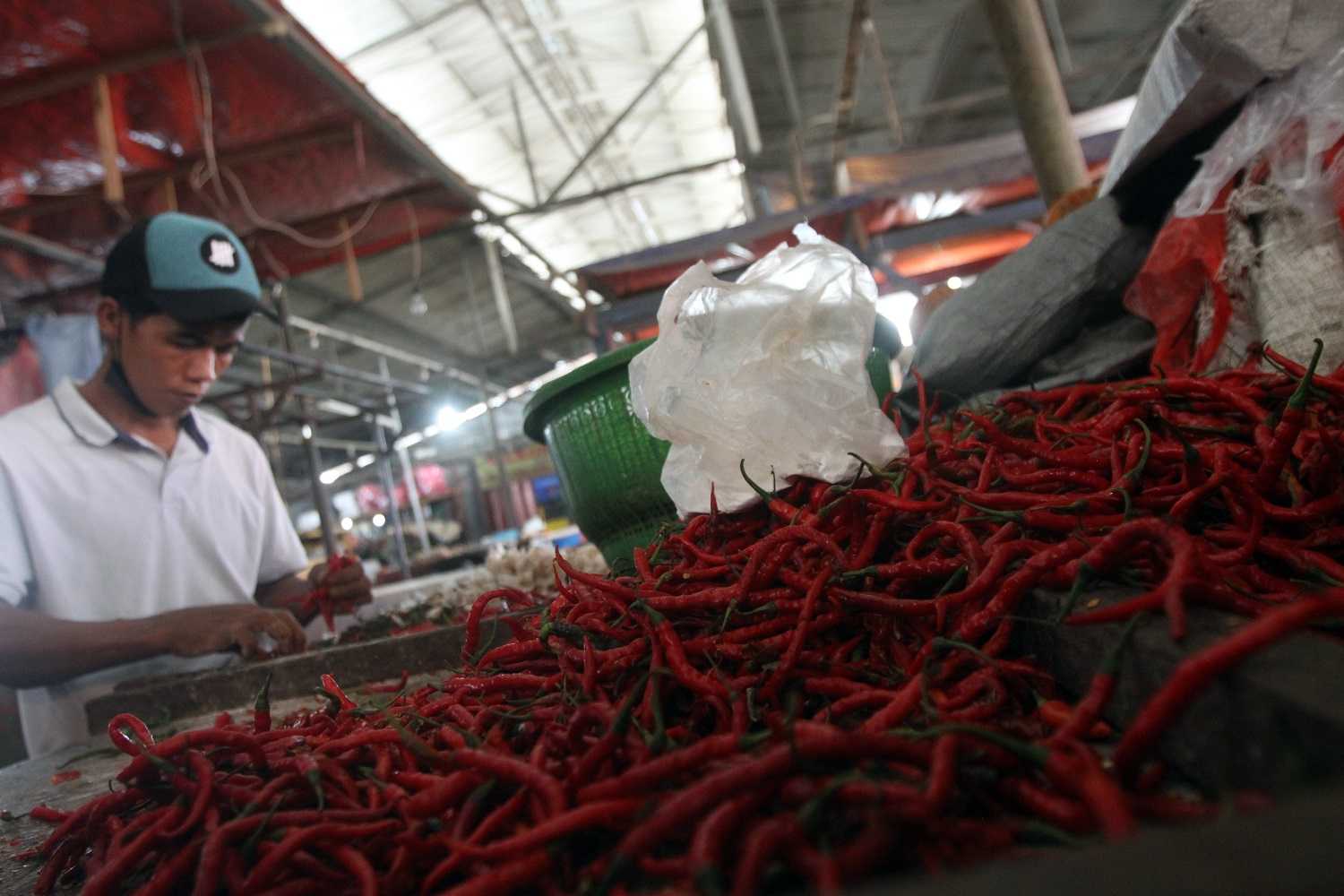 Harga Cabai Naik