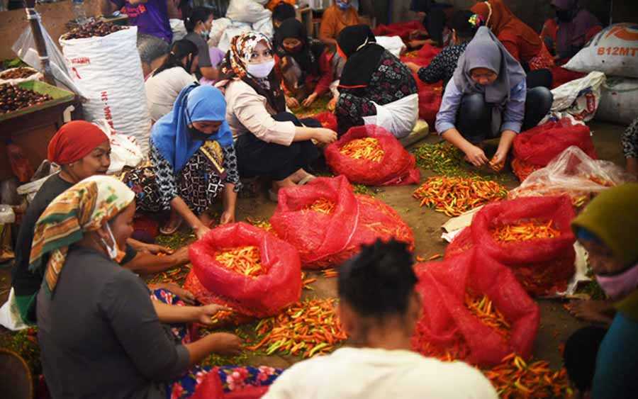 Harga Cabai Naik
