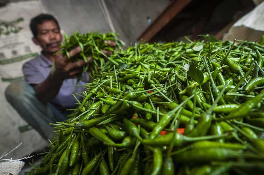 Harga Cabai Rawit Tinggi