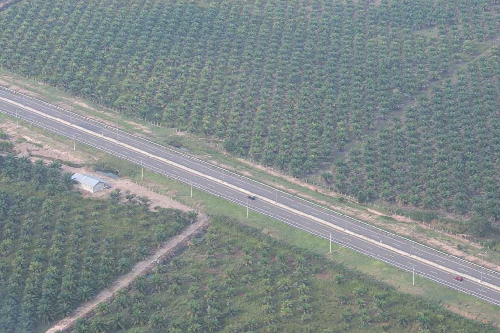 Harga CPO Turun