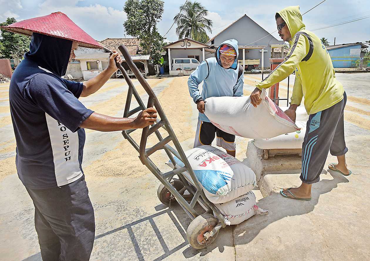 Harga Gabah Kering Naik