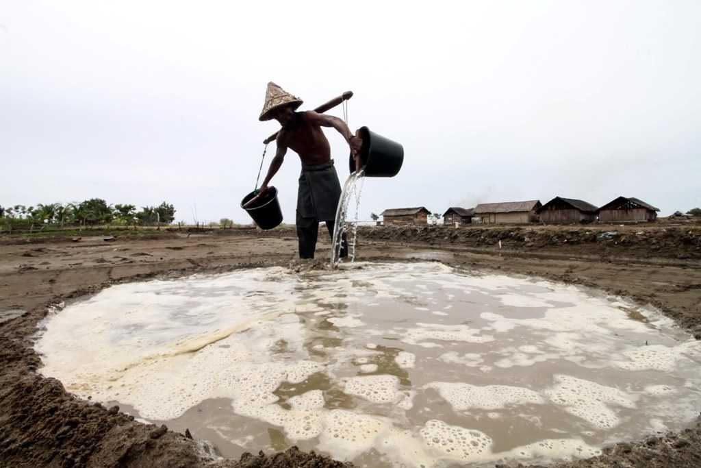 Harga Garam Turun