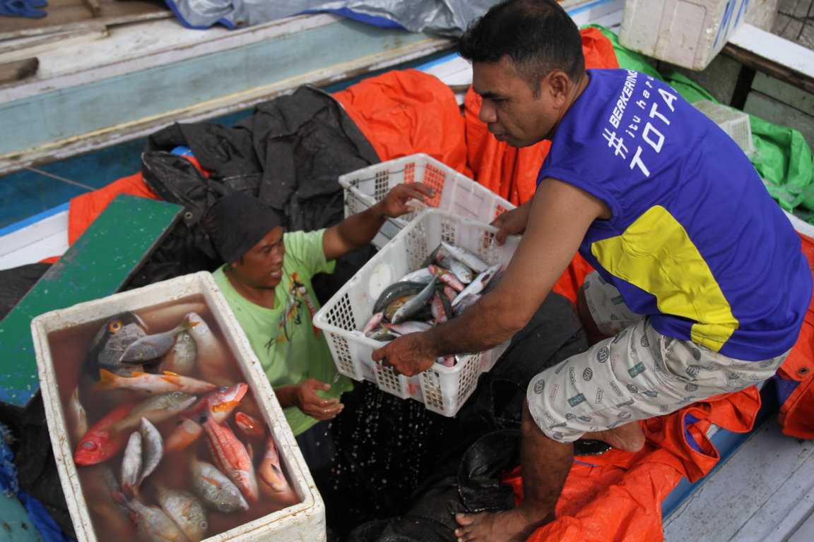 Harga Ikan Naik