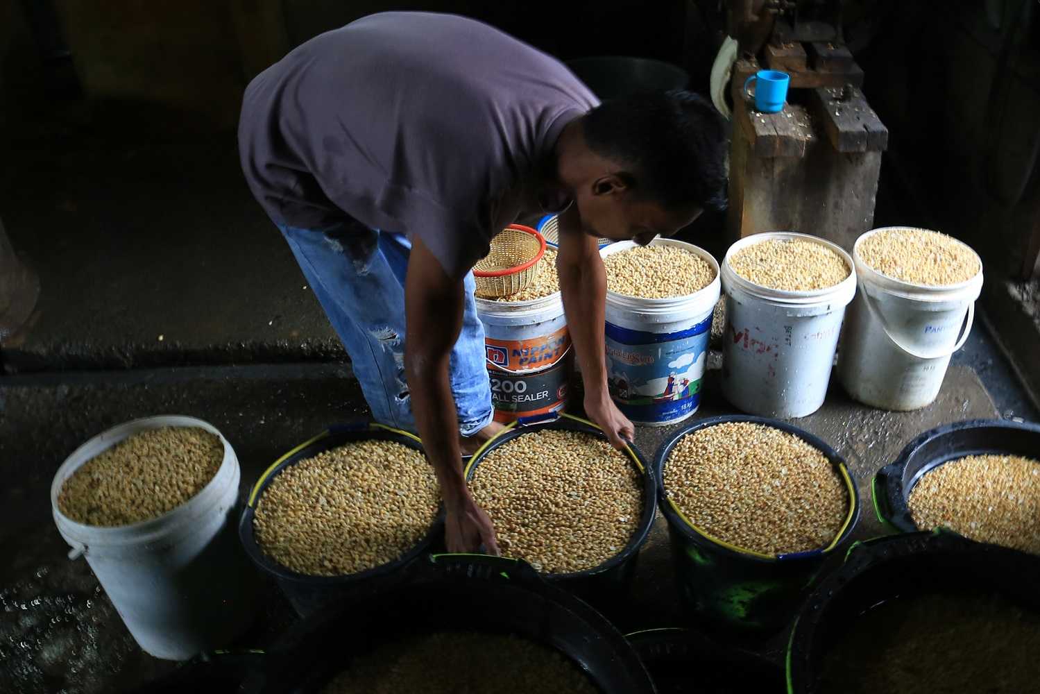 Harga Kedelai Naik