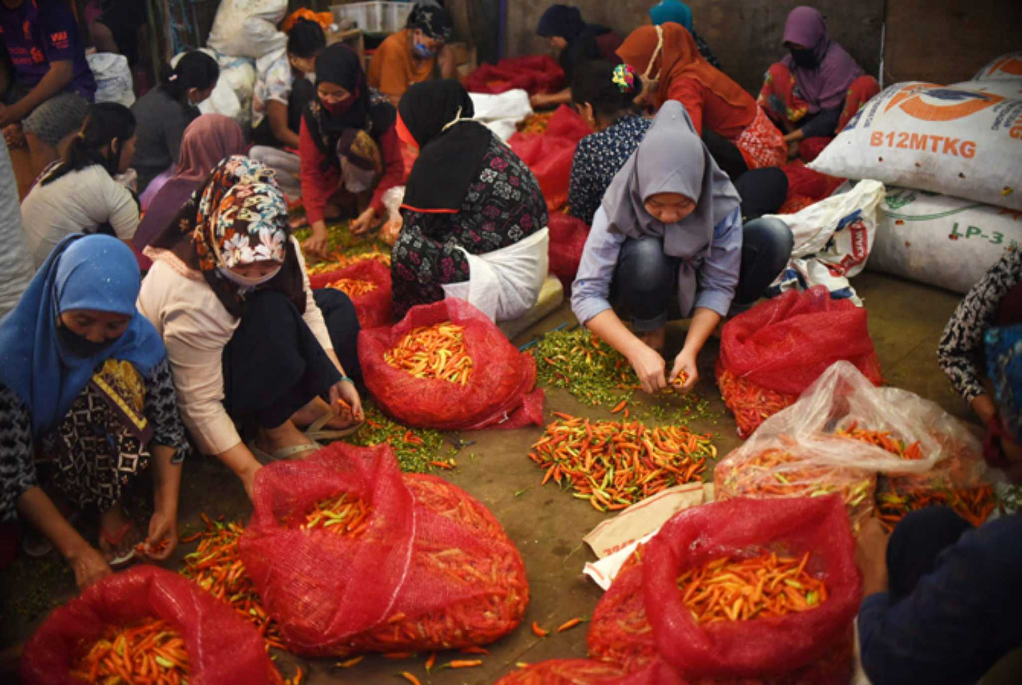 Harga Pangan Turun