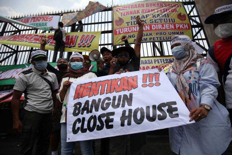 Harga Telur Anjlok, Peternak Gelar Unjuk Rasa di Jakarta