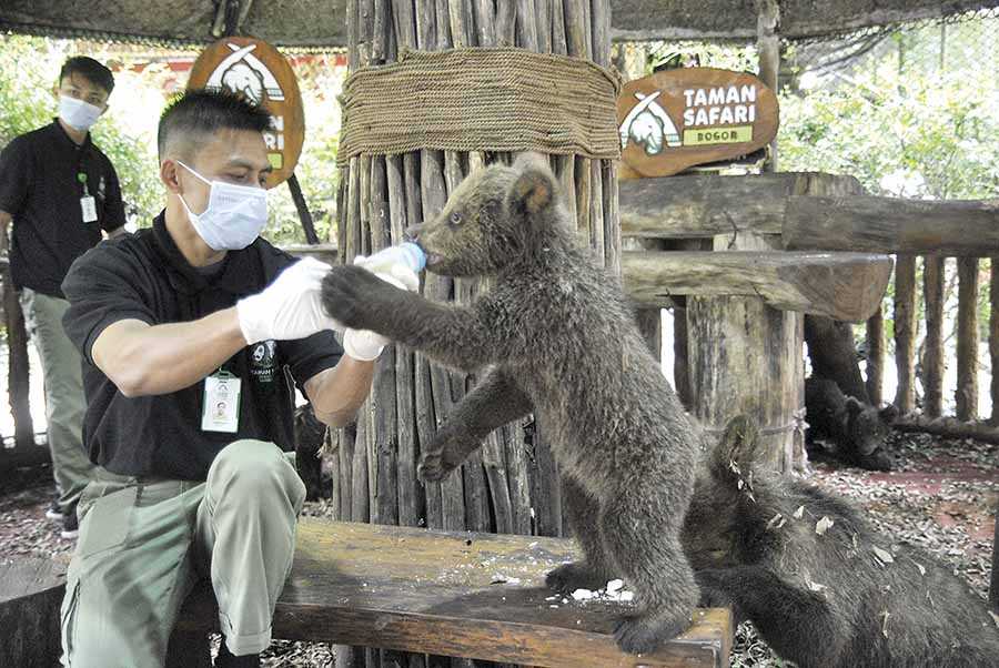 Hari Beruang Sedunia