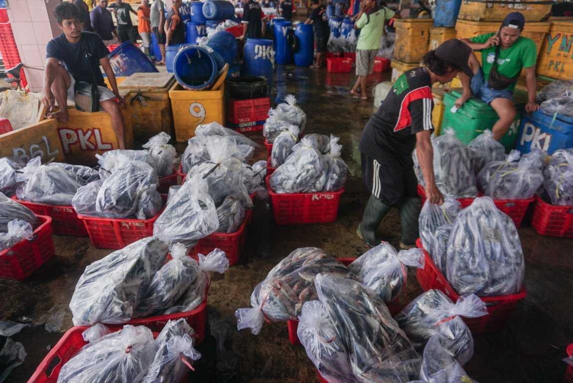 Hasil Tangkapan Turun