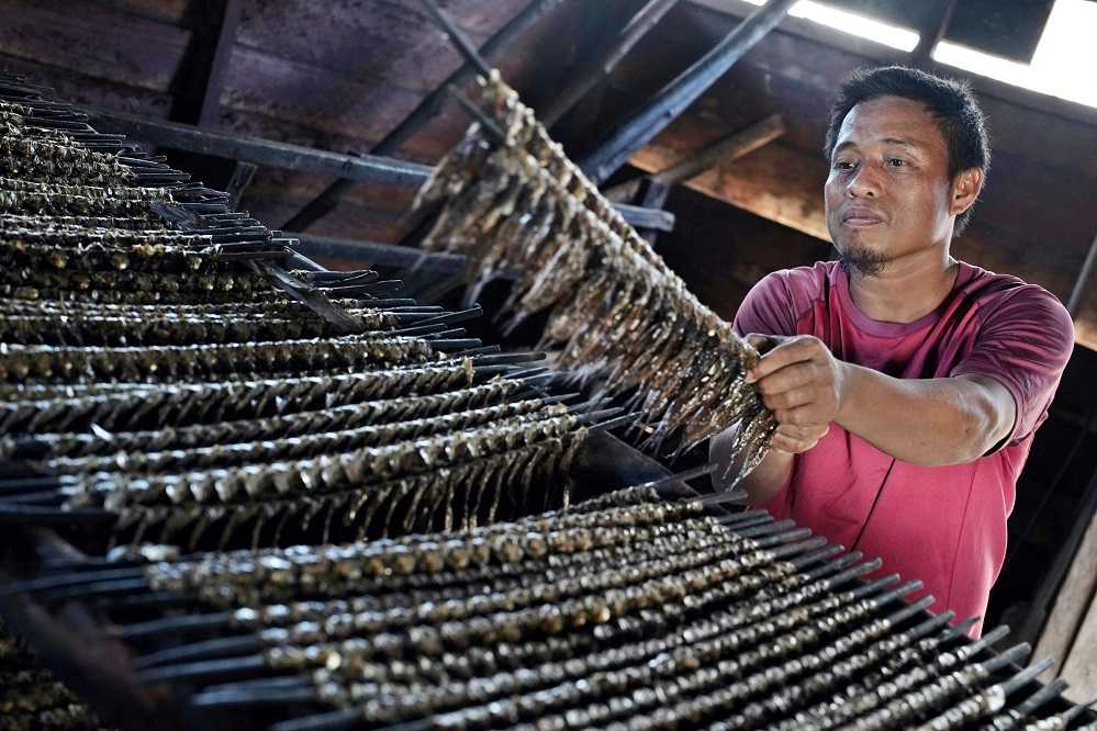Hasil Tangkapan Ikan Turun