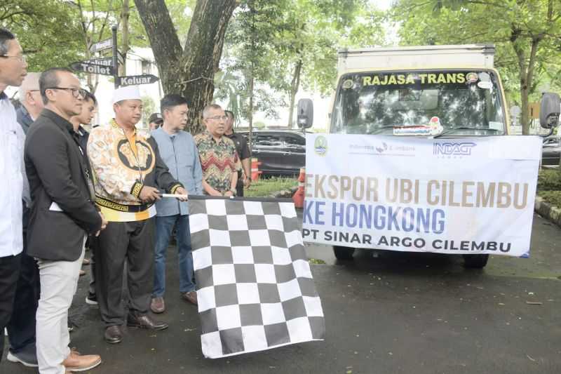 Hebat Ubi Cilembu "Go International", Diekspor ke Hongkong
