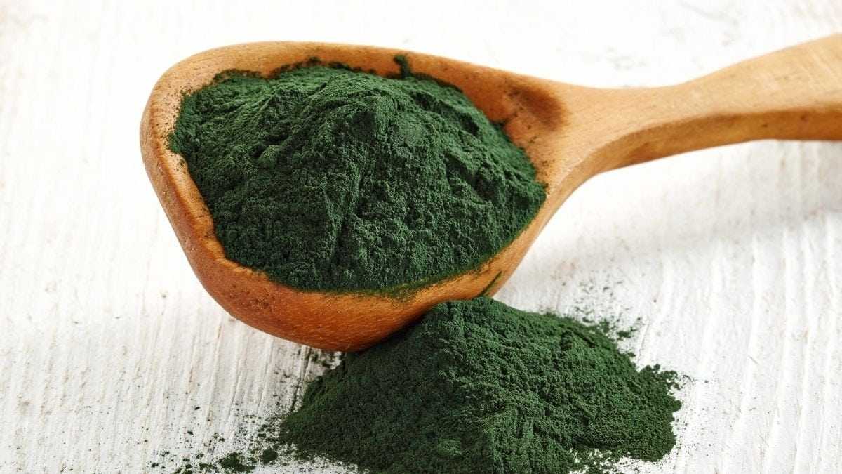 Hilirisasi Komoditas Spirulina dan Porang Dipacu