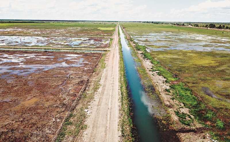 JARINGAN IRIGASI DI ‘FOOD ESTATE’ KAPUAS