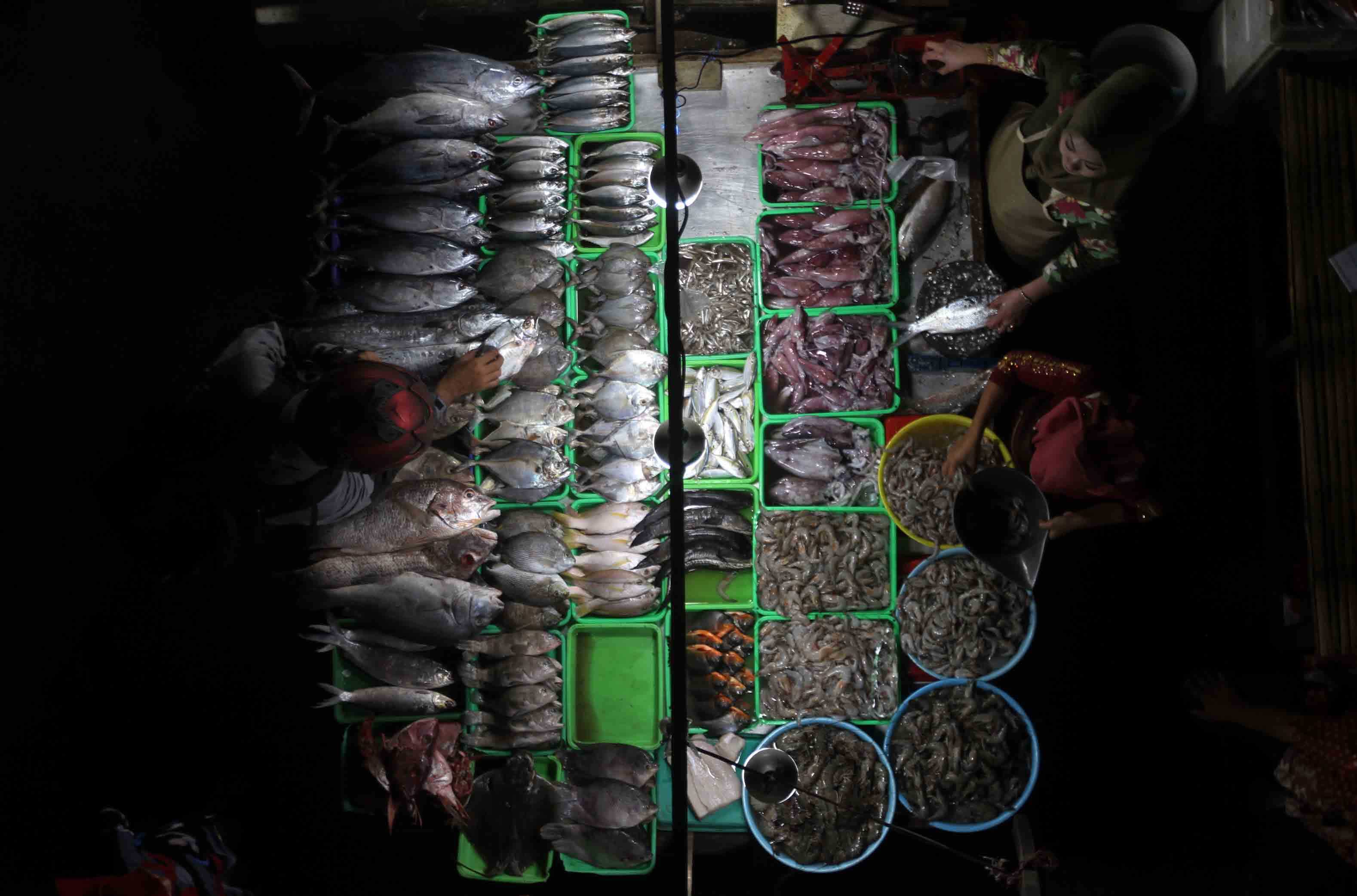 kampanye Komsumsi ikan cegah stunting