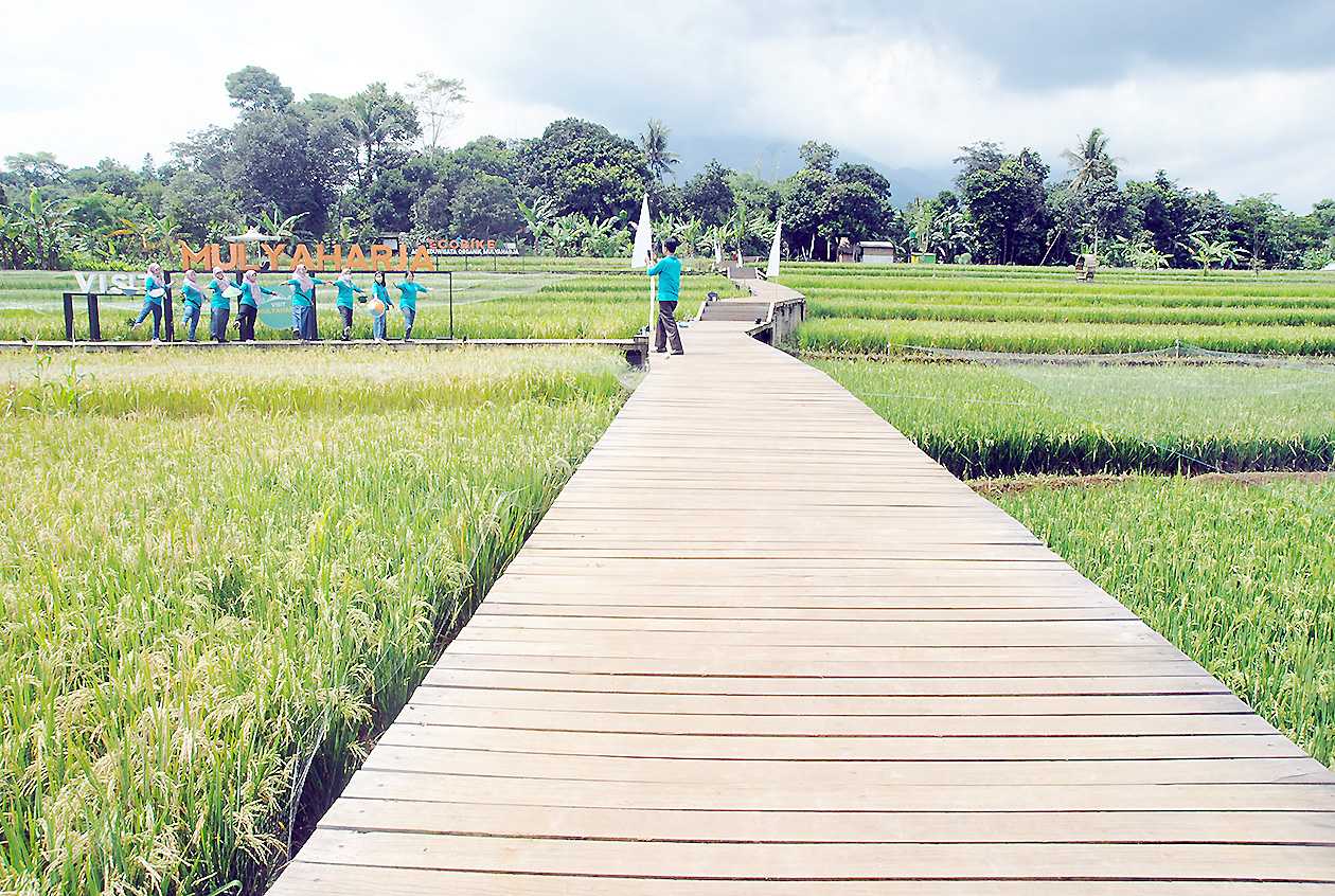 Kampung Wisata