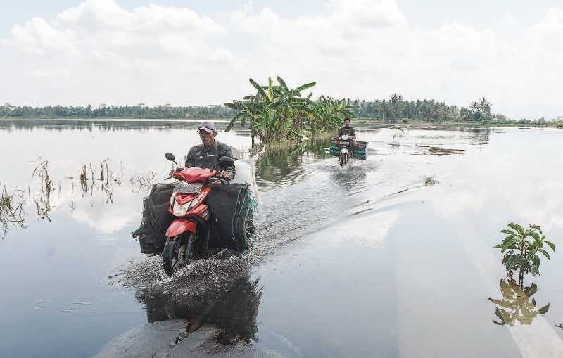 KAWASAN LUMBUNG PADI DI CIAMIS DILANDA BANJIR