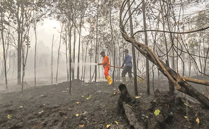 KEBAKARAN HUTAN DI BATAM