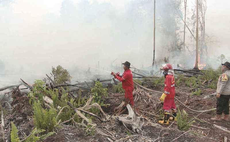 KEBAKARAN HUTAN GAMBUT DI SUMBAR