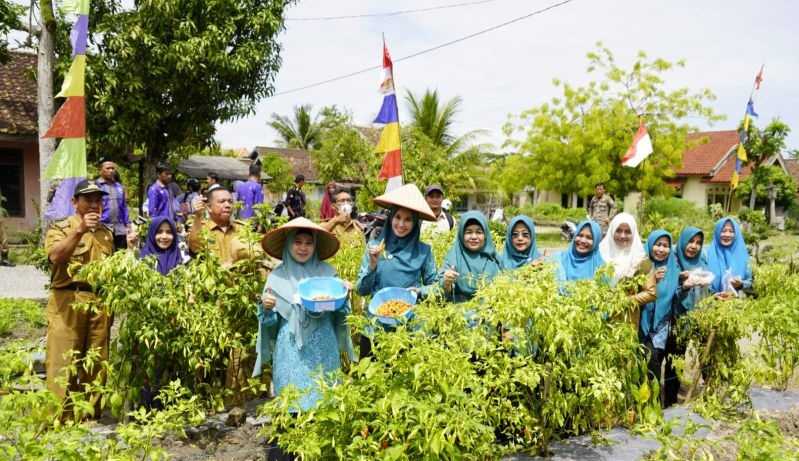 Kemandirian Pangan