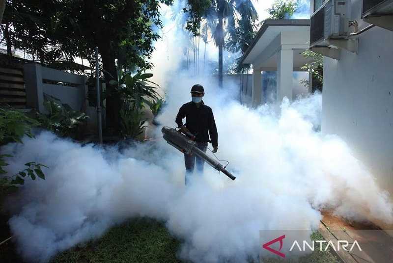 Kemenkes: Kasus DBD Meningkat 3 Kali Lipat Januari-Maret 2024