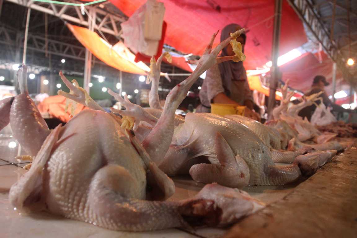 Kenaikan Harga Daging