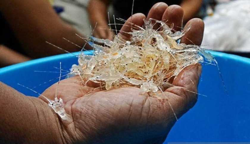 KKP Gandeng Kejagung Kawal Implementasi Siloker
