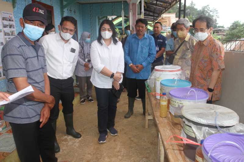 Kolaborasi YDBA dan PIP dalam menjalankan program pembinaan UMKM hortikultura