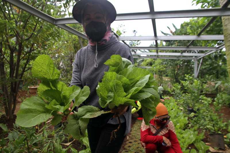 Manfaatkan Lahan Sengketa Tidak Produktif Untuk Wisata Agro Edukasi
