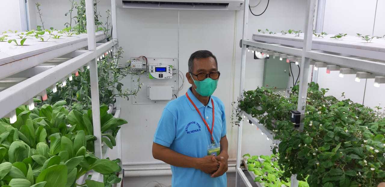 Manfaatkan UV, Bercocok Tanam di Dalam Peti Kemas