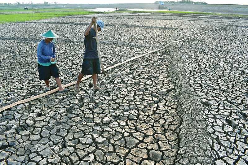 MANFAATKAN WADUK YANG MENGERING