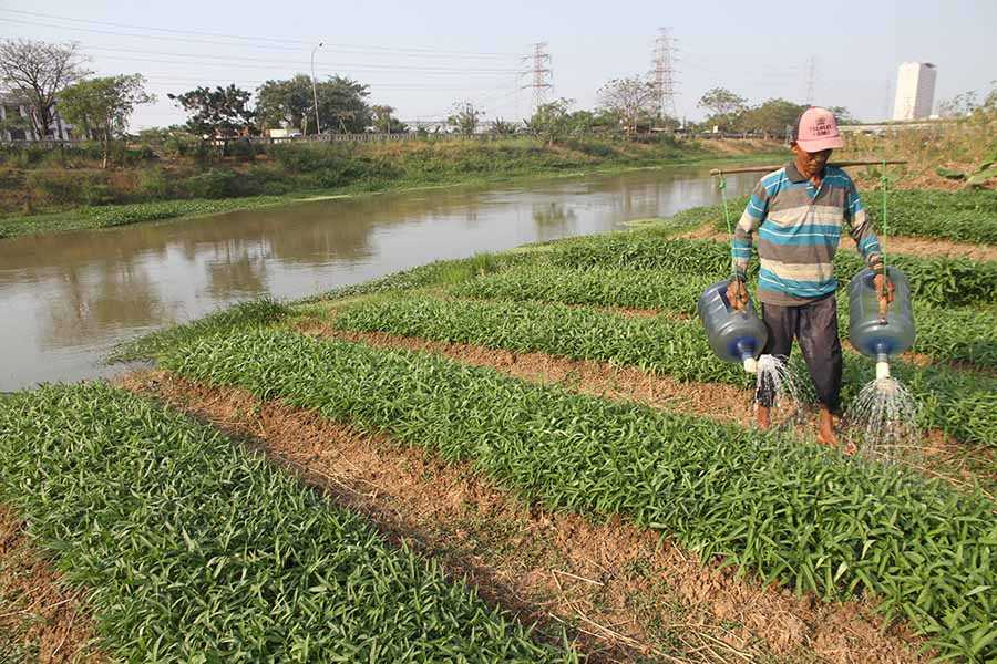 Memanfaatkan Lahan Kosong