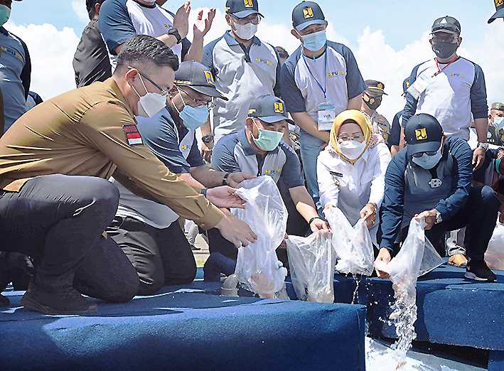 Menebar Benih Ikan