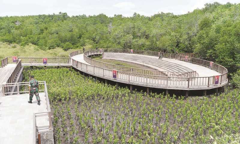 MENINJAU TAMAN HUTAN RAYA NGURAH RAI
